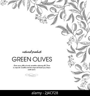 Eckrahmen elegante Schriftrolle Ornament Gravur grüne Oliven Bündchen Grenze Handgezeichnete Doodle-Karte Vektorgrafik Stock Vektor