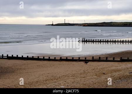 Ein kalter Wintertag auf der Esplanade in Aberdeen Aberdeenshire, Schottland, Blick auf die Leistengegend oder Wellenbrecher am Strand. Stockfoto