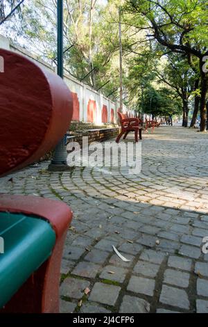 Eine Porträtaufnahme einer leeren Parkbank. Stockfoto