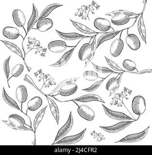 Schwarz-weiß Nahtloses Muster mit abstrakten Olivenblättern und Beeren auf weißem Hintergrund Hand Zeichnung Vektor-Illustration Stock Vektor