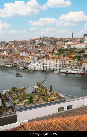 porto, Portugal, März 2022. Ein Dachgarten auf dem Dach eines Hauses am Ufer des Douro Flusses im Stadtzentrum Stockfoto