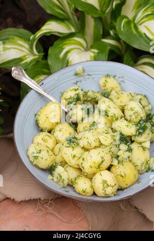 Gekochte junge Kartoffeln mit Dill und Knoblauch im Garten Stockfoto