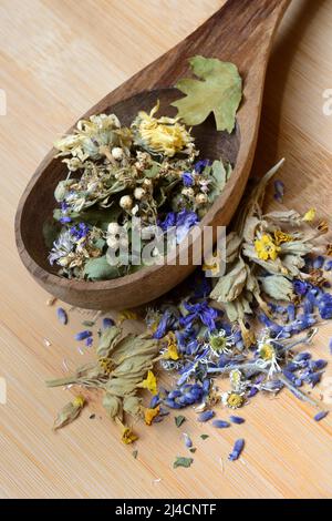 Teemischung in Holzpfanne und Heilpflanzen, Teemischung Stockfoto