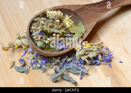 Teemischung in Holzpfanne und Heilpflanzen, Teemischung Stockfoto