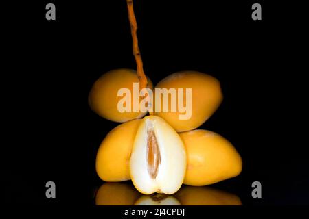 Frische Datteln (Phoenix dactylifera) auf einem Zweig und eine halbierte Frucht von Datum, Studiofotografie mit schwarzem Hintergrund Stockfoto