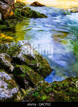 Bergbach fließt über moosbewachsene Steine, Zeller Ache, Mondsee, Mondseeland, Salzkammergut, Oberösterreich, Österreich Stockfoto