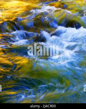 Gimbach Stromschnellen im Weissenbachtal, Bergbach, Salzkammergut, Oberösterreich, Österreich Stockfoto