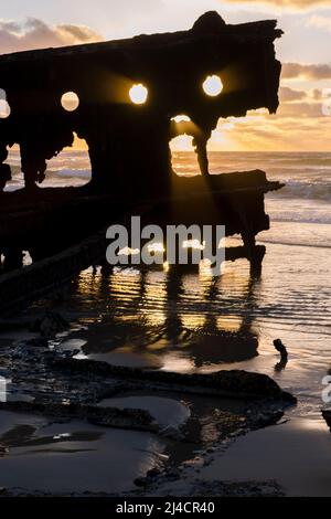 Nahaufnahme eines gebrochenen Abschnitts der Steuerbordseite des Schiffswracks von Maheno bei Sonnenaufgang. Seventy Five Mile Beach, Fraser Island, Queensland, Australien Stockfoto