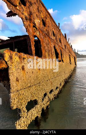 Steuerbordseite des Schiffswracks von Maheno, am frühen Morgen am Seventy Five Mile Beach, Fraser Island, Queensland, Australien Stockfoto