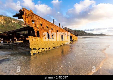 Steuerbordseite des Schiffswracks von Maheno, am frühen Morgen am Seventy Five Mile Beach, Fraser Island, Queensland, Australien Stockfoto