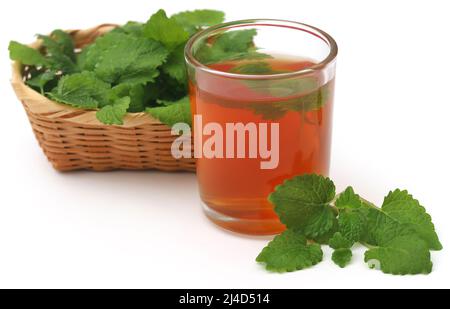 Zitronenmelisse mit Kräutertee in einem transparenten Glas auf weißem Hintergrund Stockfoto