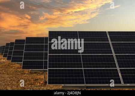 Pannele Solar mit voller Leistung auf dem Bauernhof. Photovoltaik Stromerzeugung, Sonnenuntergang . Zeile Stockfoto