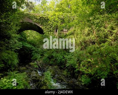 Cromwells Bridge, Dun na Ri Forest Park, County Cavan, Irland Stockfoto