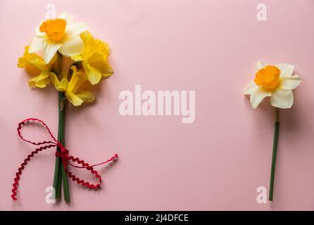 Narzissen in flachem Lay-Stil auf rosa strukturiertem Papier mit negativem Platz für Text Stockfoto