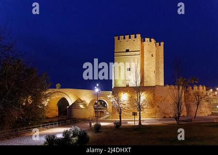 CALAHORRA TURM Torre de la Calahorra CORDOBA SPANIEN NACHT UND LICHTER AUF DEM GEBÄUDE Stockfoto
