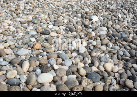 Kieselsteine am Strand Stockfoto