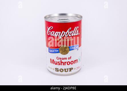 Nahaufnahme einer Dose Campbells Cream of Mushroom Suppe, Surrey, England, Vereinigtes Königreich Stockfoto