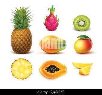 Vektor-Set von ganzen und halb geschnitten tropischen Früchten Ananas, Kiwi, Mango, Papaya, Libelle isoliert auf weißem Hintergrund Stock Vektor