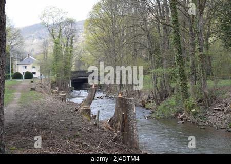 Fluss nette in Mayen 2022, nach dem Hochwasser von 2021 mehr Platz Stockfoto