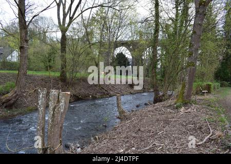 Fluss nette in Mayen 2022, nach dem Hochwasser von 2021 mehr Platz Stockfoto