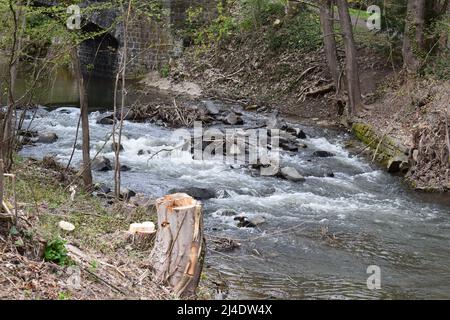 Fluss nette in Mayen 2022, nach dem Hochwasser von 2021 mehr Platz Stockfoto