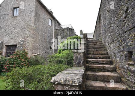 Schlendern in Compton Castle. Stockfoto