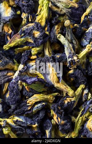 Bio-Tee mit trockener Schmetterlingserbse in einer Schüssel Stockfoto