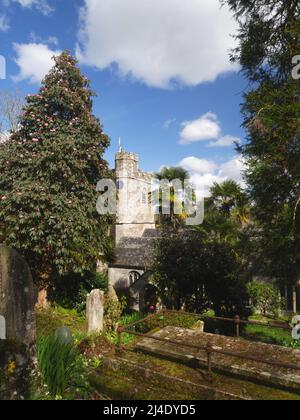 Die Kirche von St. Just-in-Roseland, Cornwall im Frühling. Stockfoto