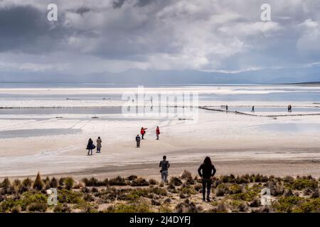 Besucher, die zum Salzsee Salar de Moche (See Salinas) in der Nähe der Stadt Arequipa, Region Arequipa, Peru, wandern. Stockfoto