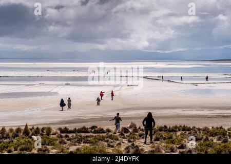 Besucher, die zum Salzsee Salar de Moche (See Salinas) in der Nähe der Stadt Arequipa, Region Arequipa, Peru, wandern. Stockfoto