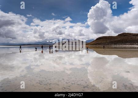 Besucher des Salar de Moche (See Salinas) Salzsees in der Nähe der Stadt Arequipa, Region Arequipa, Peru. Stockfoto