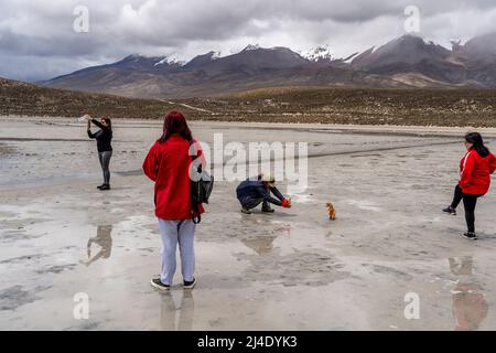 Besucher posieren für Fotos mit Einem Spielzeug-Dinosaurier am Salar de Moche (See Salinas) Salzsee in der Nähe der Stadt Arequipa, Region Arequipa, Peru. Stockfoto