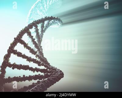 DNA-Molekül mit Hintergrundbeleuchtung. Genetischer Code, helikale Moleküle. Stockfoto