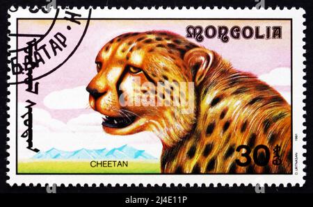 MONGOLEI - UM 1991: Eine in der Mongolei gedruckte Marke zeigt Gepard, Acinonyx jubatus, African Animal, um 1991 Stockfoto