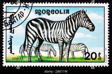 MONGOLEI - UM 1991: Eine in der Mongolei gedruckte Marke zeigt Zebra, Equus Zebra, African Animal, um 1991 Stockfoto