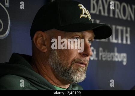 St. Petersburg, Usa. 14. April 2022. Oakland Athletics Manager Mark Kotsay spricht mit Reportern im Dugout vor einem Baseballspiel gegen die Tampa Bay Rays am Donnerstag, den 14. April 2022, im Tropicana Field in St. Petersburg, Florida. Foto von Steve Nesius/UPI Credit: UPI/Alamy Live News Stockfoto