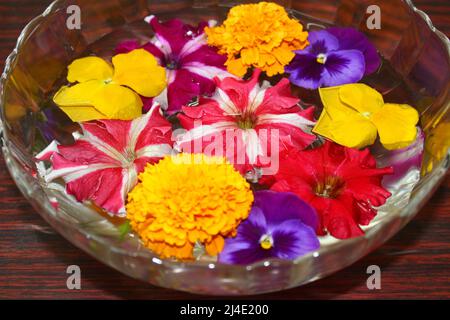 Bunte Blumen in einer mit Wasser gefüllten Schale Stockfoto