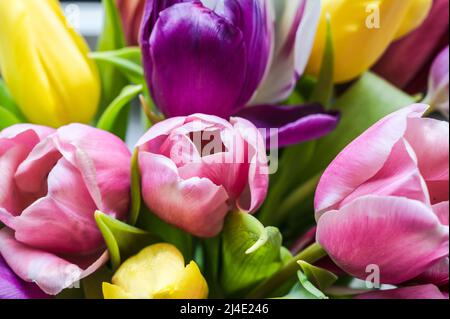 Bunte Tulpenbüschel; Bunter Tulpenstrauß Stockfoto