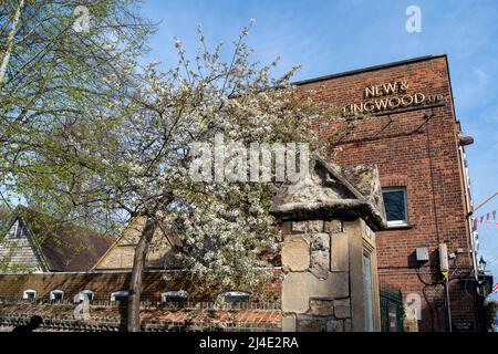 Eton, Windsor, Britannien. 14.. April 2022. Hübsche Blüte und blauer Himmel in der Eton High Street zu Beginn des Wochenendes an den Osterfeiertagen. Quelle: Maureen McLean/Alamy Live News Stockfoto