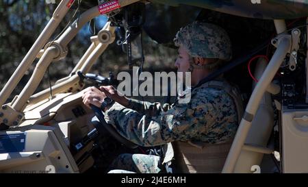 U.S. Marine Corps CPL. Joel Vallejo, ein gebürtiger New Yorker aus Queens, ist ein taktischer Techniker für Lufteinsätze/Luftverteidigungssysteme mit 2D leichten Panzeraufklärungsbataillon, 2D Marine Division, betreibt während der Littoral Exercise II (LEX II) ein Einsatzfahrzeug, das mit dem Marine All-Domain Command and Control Center ausgestattet ist. Am Marine Corps Auxiliary Landing Field Bogue, North Carolina, 2. März 2022. Während der LEX II versuchen Marineinfanteristen und Matrosen, ihre Fähigkeit zu üben, das Zwangsverhalten eines fiktiven Gegners zu entmutigen und direkt durch Abschreckung mit fortschrittlichen Technologiesystemen beizutragen. Stockfoto