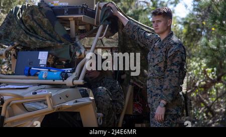 US-Marineinfanteristen mit 2D leichten gepanzerten Aufklärungsbataillons, 2D Marine Division, betreiben das Marine All-Domain Command and Control Center während der Littoral Exercise II (LEX II) am Marine Corps Auxiliary Landing Field Bogue, North Carolina, 2. März 2022. Während der LEX II versuchen Marineinfanteristen und Matrosen, ihre Fähigkeit zu üben, das Zwangsverhalten eines fiktiven Gegners zu entmutigen und direkt durch Abschreckung mit fortschrittlichen Technologiesystemen beizutragen. Die Division testete neue Taktiken und Trainings mit multidomänenübergreifenden Aufklärungs- und Gegen-Aufklärungsteams nach Force Design 2030. ( Stockfoto