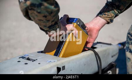 Eine US-Marine mit 2D leichten gepanzerten Aufklärungsbataillons, 2D Marine Division, legt die Batterien während der Littoral Exercise II (LEX II) auf Lager Lejeune, North Carolina, 3. März 2022 in ein unbemanntes Stalker-Flugzeugsystem ein. Während der LEX II versuchen Marineinfanteristen und Matrosen, ihre Fähigkeit zu üben, das Zwangsverhalten eines fiktiven Gegners zu entmutigen und direkt durch Abschreckung mit fortschrittlichen Technologiesystemen beizutragen. Die Division testete neue Taktiken und Trainings mit multidomänenübergreifenden Aufklärungs- und Gegen-Aufklärungsteams nach Force Design 2030. (USA Marine Corps Foto Stockfoto