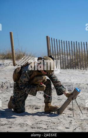 U.S. Marine Corps CPL. Julian Alvarado, ein in San Diego geborener und Panzerabwehrkanone mit 2D leichten Panzeraufklärungsbataillon, 2D Marine Division, bereitet sich auf den Start eines unbemannten Flugzeugsystems Switchblade während der Littoral Exercise II (LEX II) auf Camp Lejeune, North Carolina, 3. März 2022 vor. Während der LEX II versuchen Marineinfanteristen und Matrosen, ihre Fähigkeit zu üben, das Zwangsverhalten eines fiktiven Gegners zu entmutigen und direkt durch Abschreckung mit fortschrittlichen Technologiesystemen beizutragen. Die Division testete neue Taktiken und Trainings mit multidomänenübergreifenden Aufklärungen und Gegenaufklärungen Stockfoto