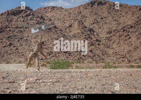 U.S. Marine Corps CPL. Bruce Stombaugh, ein Geheimdienstspezialist mit 1. Bataillons und 3D Marineinfanteristen, startet ein RQ-20 puma-System im Rahmen der Service Level Training Exercise 1-22 im Marine Corps Air Ground Combat Center Twentynine Palms, Kalifornien, 24. September 2021. Neue und fortschrittliche Überwachungssysteme verbessern die Fähigkeit der 3D Marines, ihre Streitkräfte in einem expeditionellen und umkämpften Umfeld zu befehlmen und zu kontrollieren. Stombaugh stammt aus Indianapolis, Indiana. (USA Marine Corps Foto von CPL. Alexis Moradian) Stockfoto