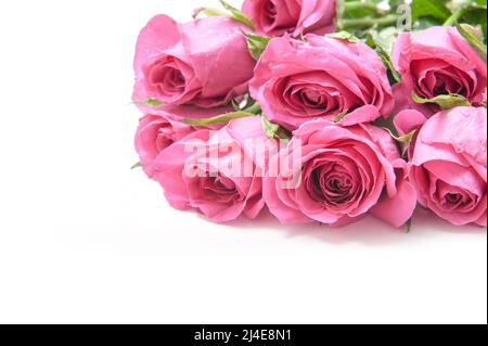 Strauß rosa Rosen auf weißem Hintergrund Stockfoto