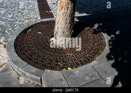 Gusseisernes Gitter über dem Abfluss. Gusseisernes Gitter über dem Ablaufkanal. Sturmwasser-Ablaufgrill auf einem Steinsteig. Stockfoto