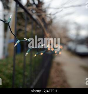 Im Winter funkeln Lichter an einem alten Zaun in der Innenstadt von East Grand Rapids, Michigan Stockfoto