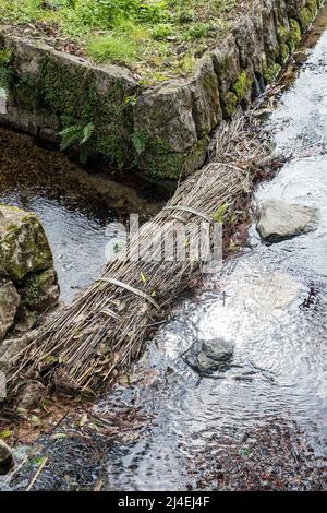 Strohdamm zur Kontrolle des Wasserstands in Kanalbewässerungsgräben, Beppu Benten Pond, Yamaguchi, Japan Stockfoto