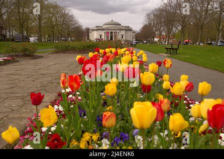Pfad der Tulpen, der zur Lady Lever Art Gallery führt, Port Sunlight, Wirral, Merseyside, England, VEREINIGTES KÖNIGREICH Stockfoto