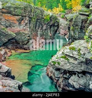 Schlucht und Herbstfarben entlang Mcdonald Creek im Glacier National Park, montana Stockfoto